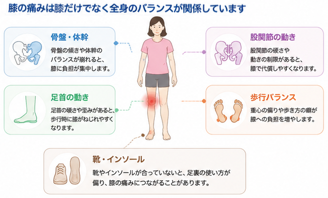 膝の痛みを股関節・足首・骨盤・歩行バランスから評価するイメージ